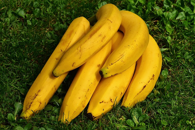 Projeto de Fbrica de Banana Passa