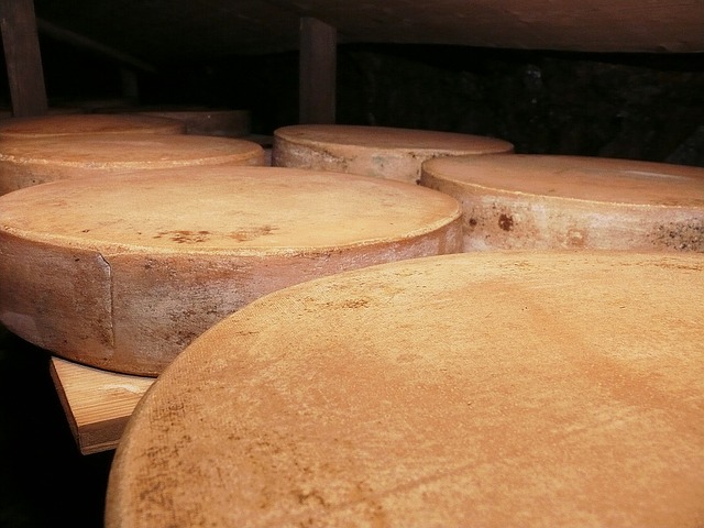 Planta Baixa de Fbrica de Queijo Canastra | Serra da Canastra | Artesanal e Curado