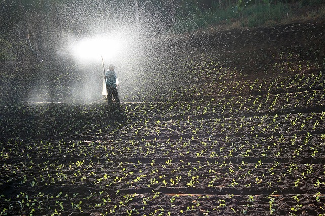Como Montar Como Monta uma F�brica de Fertilizantes Foliares