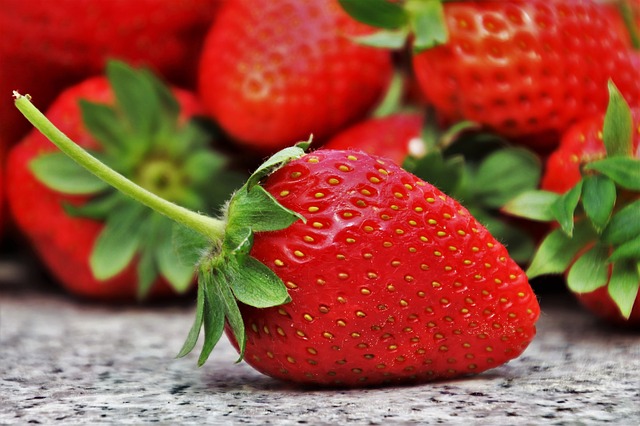 Planta Baixa de Distribuidora de Frutas