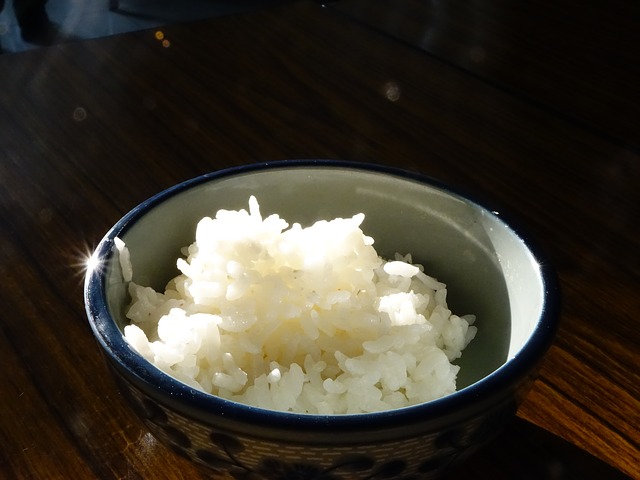 Planta Baixa de Fbrica de Bolinho de Arroz