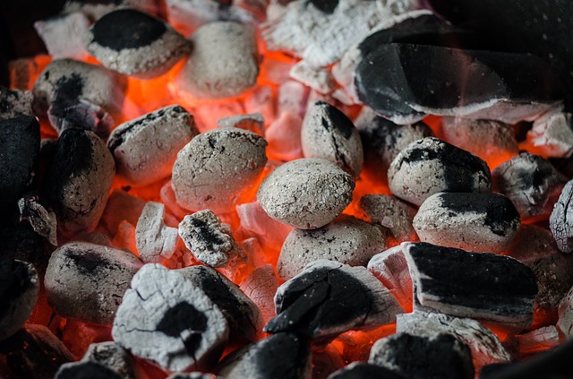 Como Montar Fbrica de Carvo para Churrasco