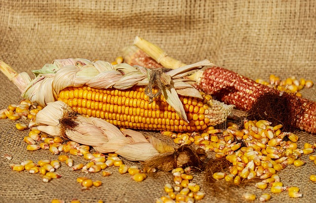 Planta Baixa de Fbrica de Farinha de Milho