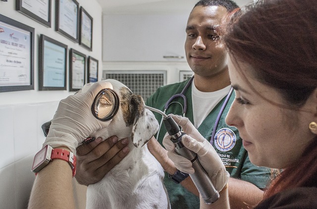 Projeto de Indstria Farmacutica Veterinria