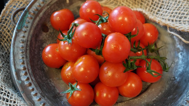 Como Montar Fbrica de Molho de Tomate